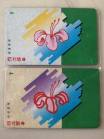 90年代深圳老电话磁卡散卡－深圳市花簕杜鹃2枚