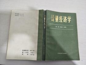 计量经济学【实物拍图，内页干净】