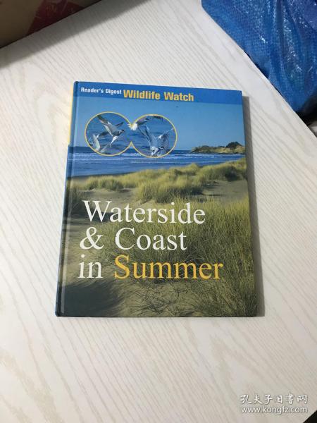 waterside coast in summer