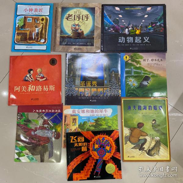 凯迪克大奖作品：世纪绘本花园第一辑《飞向太阳的箭》