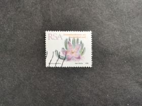 南非邮票（植物）：1993年多肉植物 1枚