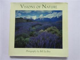 大12开英文原版《VISIONS OF NATURE:A Portfolio of Images of our Natural World》（自然的幻象：自然界景象图集）