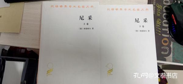 尼采（全二卷）（具体品相看图，上册书中少量笔记，品相具体看图，下册干净）