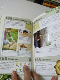 DK儿童365户外活动手册·每天玩出新花样!