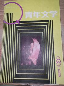 期刊《青年文学》1989年第9期 有凸凹、刘湛秋等作家作品
