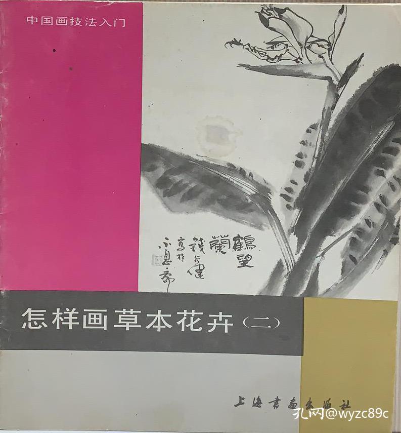 怎样画草本花卉（二）