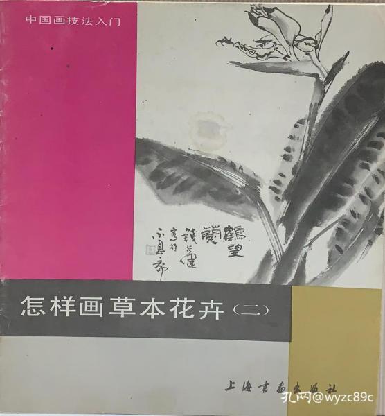 怎样画草本花卉（二）