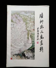 陆抑非花鸟画选【共16张散页20幅画，全】