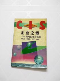 企业之魂-CIS战略的理念识别