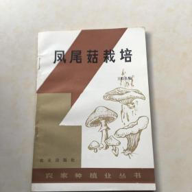 凤尾菇栽培 王松良编著 封面设计 董一沙