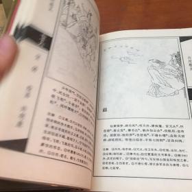 绘图中国古典诗歌名著之—会图元曲三百首、绘图宋词三百首、绘图唐诗三百首、绘图楚辞选、绘图乐府古诗选、绘图诗经选、总共六本合售