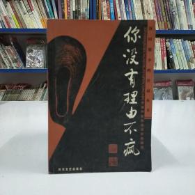 你没有理由不疯：新时期争鸣作品丛书