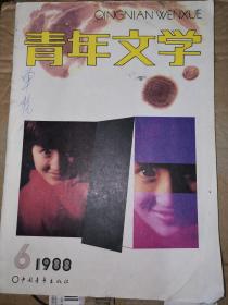 期刊《青年文学》1988年第6期 有储福金、石钟山、蒉坚亮、叶延滨、刘湛秋等作家作品