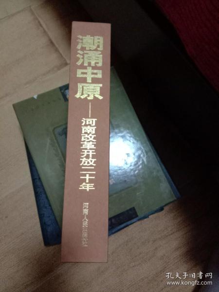 潮涌中原河南改革开放20年