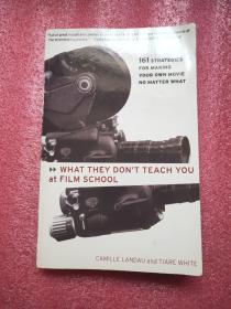 What They Don't Teach You at Film School: 161 Strategies for Making Your Own Movies No Matter What