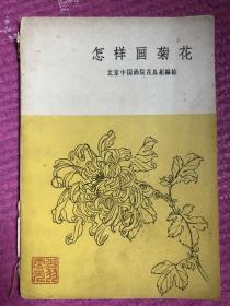 怎样画菊花