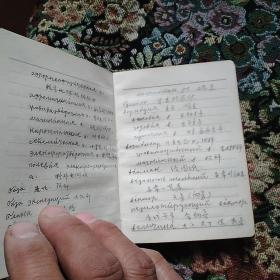 工农兵日记(红塑皮64开，己使用，前页有失)