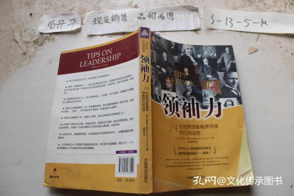 领袖力：24位世界顶级商界领袖的行动法则