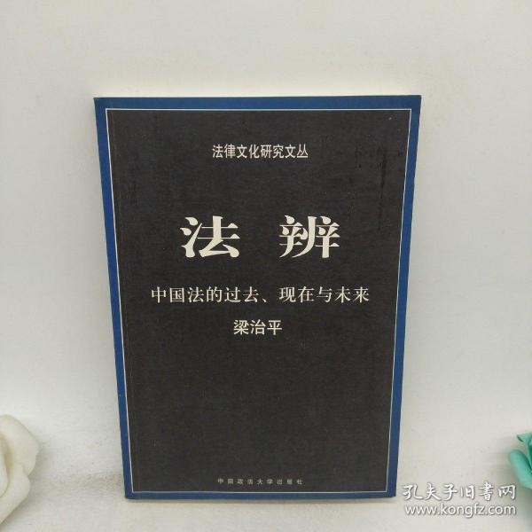 法辨：中国法的过去、现在与未来