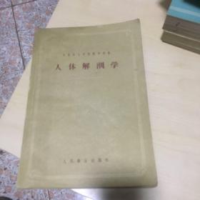 人体解刨学1957年