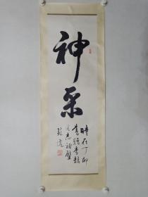 保真书画，北京著名书法家苏适《神采》书法一幅，原装裱镜心，尺寸98.5×31cm