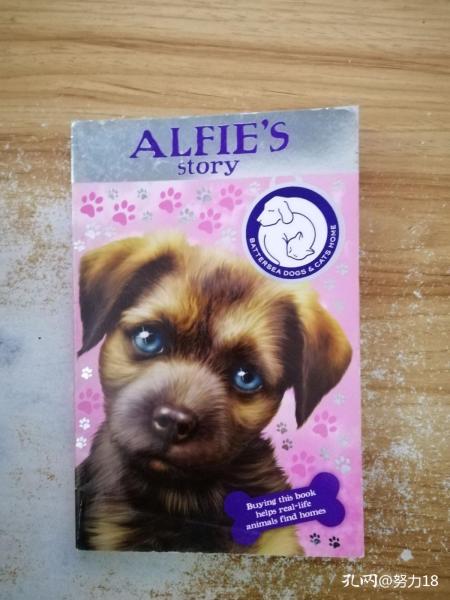 alfie's story阿尔菲的故事