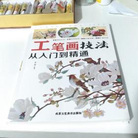 工笔画技法 从入门到精通