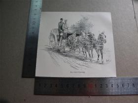 【百元包邮】1895年木刻版画《ein zebra viererzug》(一辆四匹斑马驾车）、《boot mit tretrad》(脚踏自行车船） 尺寸见图（货号603040）