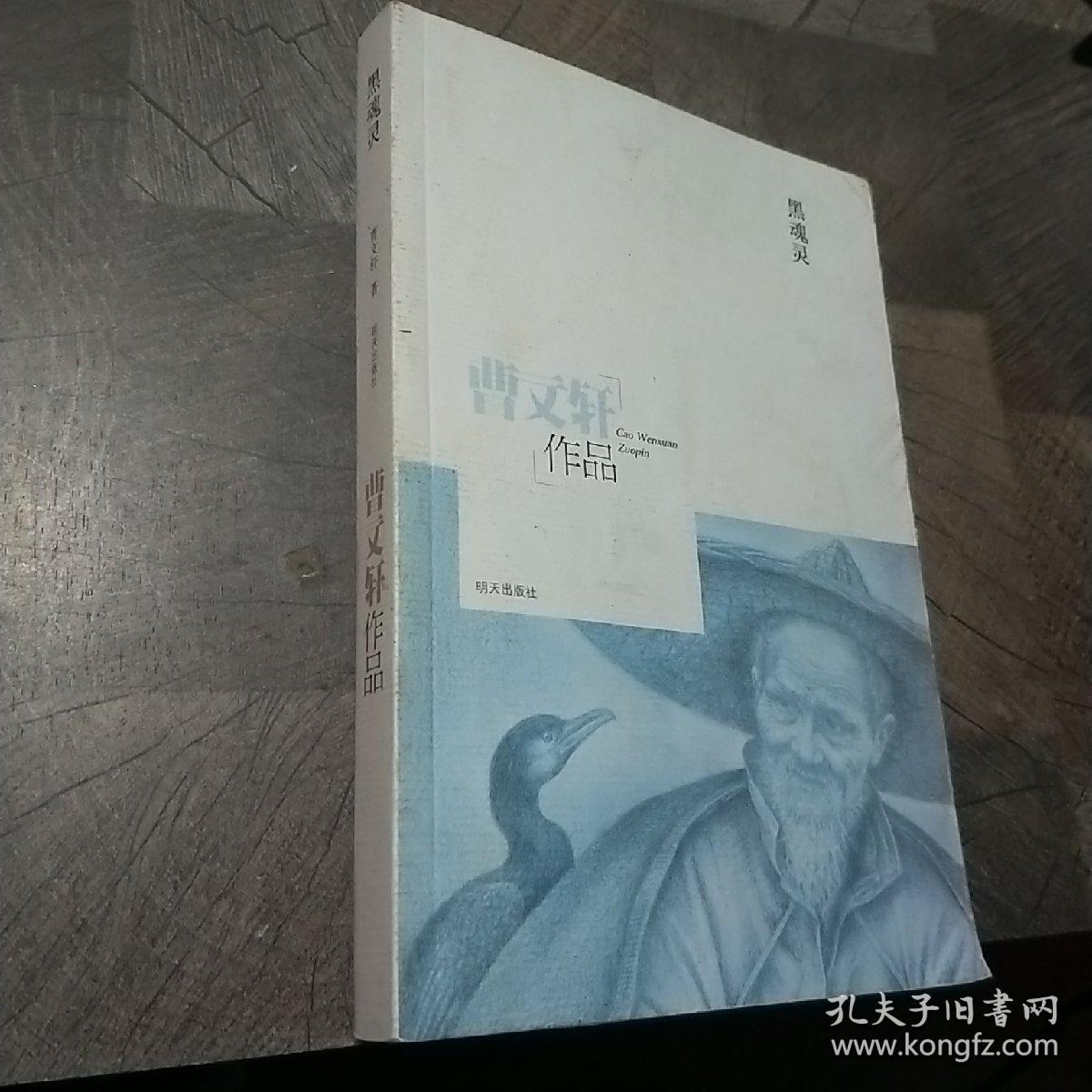 曹文轩作品：黑魂灵