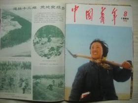 《中国青年》1966年彩色封面合订本