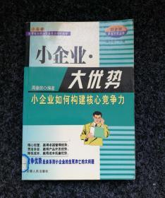 小企业大优势：如何构建小个业的核心竞争力——小企业卓越经营丛书