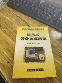 图表式会计核算示范