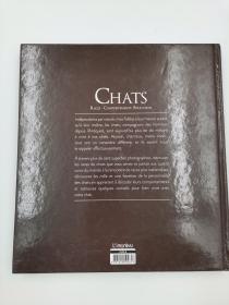 chats races comportements education 猫画册 非英文