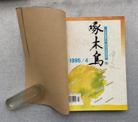 啄木鸟 1995 （4-6）三册