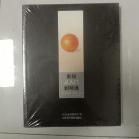 素描从入门到精通