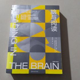 脑与阅读：破解人类阅读之谜