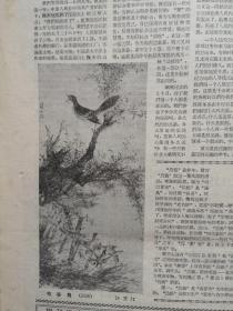 解放日报1957年6月25日（反右运动）舒秀文《我的揭发》，许杰究竟是帮助党整风还是向党进攻？，北京新闻界座谈会高集高天沙英揭露右派章伯钧储安平罗隆基莫如俭赵琪争夺报纸活动，郑白涛仍认为报纸可唱对台戏并为储安平帮腔，黄卓明浦熙修莫如俭范四夫发言，山东馆陶申林台一家七口被惨杀，中国印尼0：0之战纪详，江寒汀国画《布谷鸟》