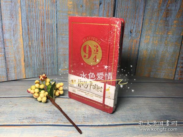 哈利波特九又四分之三原版标准版笔记本 harry potter platform