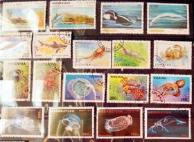 18枚外国海洋生物类邮票，票面精美，无重复！请注意图片