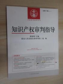 中国审判指导丛书：知识产权审判指导（2013.1总第21辑）