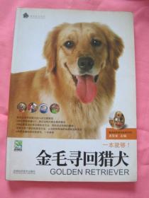 金毛寻回猎犬 一本就够