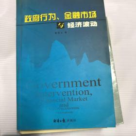 政府行为、金融市场与经济波动