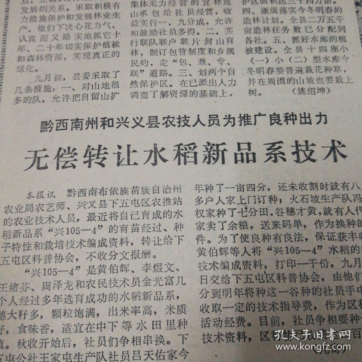 黔西南州和兴义县农技人员为推广良种出力，无偿转让水稻新品系技术！兴105——4。我省360种优秀产品包装参加全国展览！贵阳大曲、董酒、天麻糯米酒、杜仲酒、紫金山天文台为17颗小行星命名！贵州省话剧团《贵州日报》，今日出版半张。