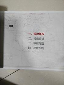 【天津大学建筑系“硕士生”课程设计论文】城市规划设计（二） 天津市西沽地区规划策划 【大量图片，和相关历史介绍，相关内容见图片书影！】