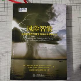 风险智能——企业如何在不确定环境中生存和壮大