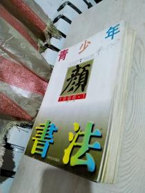 期刊：青少年书法 1997年1~12期 1996年1~7期 总：十九期合售 每册40~48页 不等。