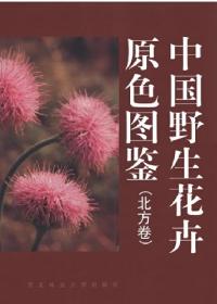 中国野生花卉原色图鉴:中英文本.北方卷