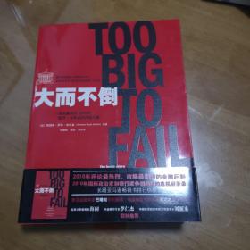 大而不倒：2010年全球政要和首席执行官争相阅读的金融危机启示录