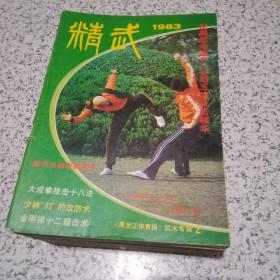 精武杂志1983年武术专辑2--1995年第3期共33本不同合售【实物拍照，准九品】