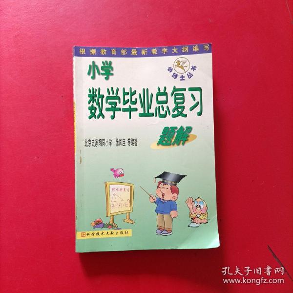 小学数学毕业总复习题解